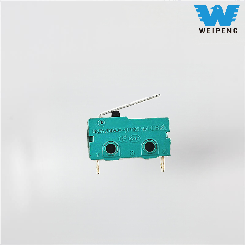 Roller Type Two-Prong/Three-Prong 5A Switch